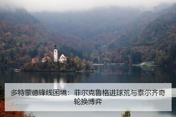 多特蒙德锋线困境：菲尔克鲁格进球荒与泰尔齐奇轮换博弈