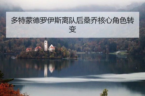 多特蒙德罗伊斯离队后桑乔核心角色转变