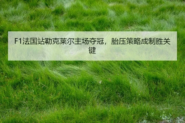 fa-guo-zhan-lei-ke-lai-er-zhu-chang-duo-guan-tai-ya-ce-lve-cheng-zhi-sheng-guan-jian-2-761.jpg