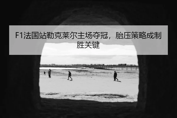fa-guo-zhan-lei-ke-lai-er-zhu-chang-duo-guan-tai-ya-ce-lve-cheng-zhi-sheng-guan-jian-3-991.jpg