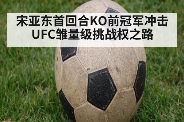 宋亚东首回合KO前冠军冲击UFC雏量级挑战权之路